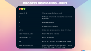 How to manage processes in Linux