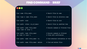 BB - How to search files effectively in Linux terminal
